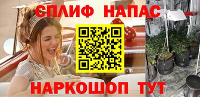 трава Кинель