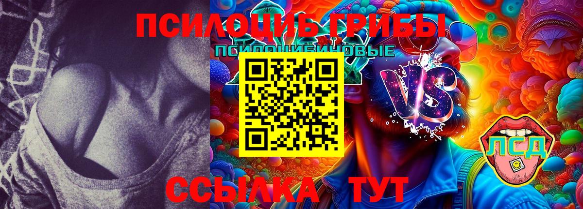 Галлюциногенные грибы GOLDEN TEACHER  Вход с VPN  Кузнецк  Галлюциногенные грибы Magic Shrooms 