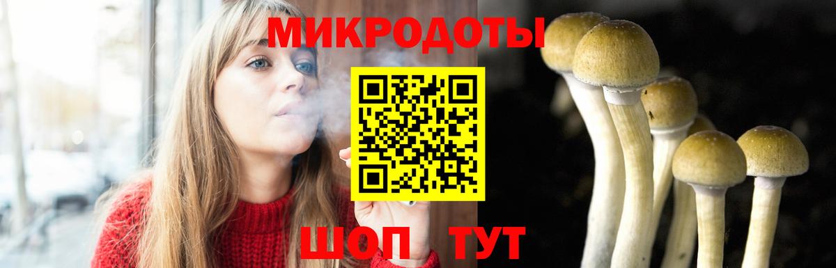 Галлюциногенные грибы Cubensis Кузнецк